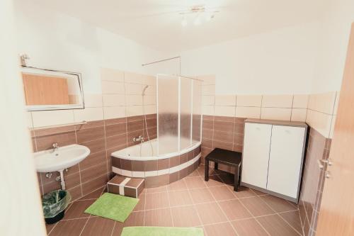 Furman Apartments Slovenja vas tesisinde bir banyo