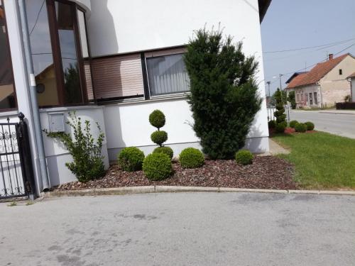 a house with bushes and trees in the front yard at Apartmani Oletić 4* in Sveti Martin na Muri