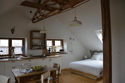 a kitchen and bedroom with a bed and a table at Mamrowisko in Węgorzewo
