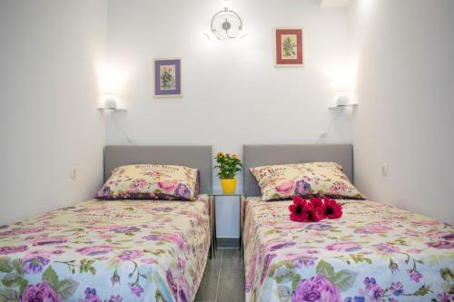 Apartment D&T