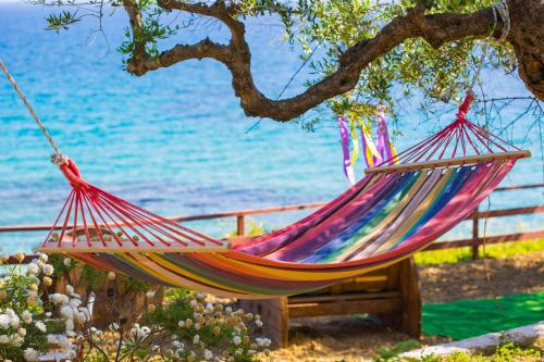 a hammock hanging from a tree next to the water at Ammos Apartments in Alikanas