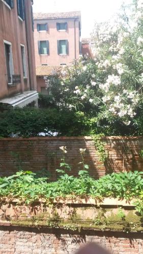 a brick wall with plants in front of a building at Locanda Ca' del Brocchi in Venice