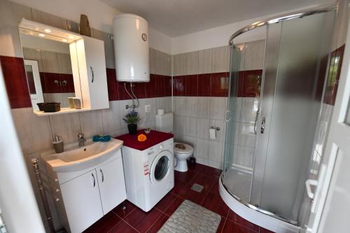 La salle de bains est pourvue d'un lave-linge et d'une douche. dans l'établissement Holiday home Miramary, à Trilj