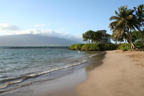 a beach with palm trees and a house in the background at Maui Tranquility in Kihei