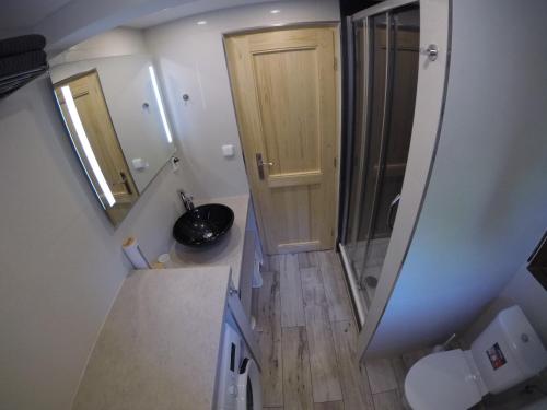 an overhead view of a bathroom with a shower and a sink at Chata Dandelion in Černá v Pošumaví