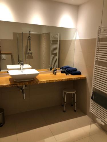 Kylpyhuone majoituspaikassa Gästehof Cafe im Schafstall