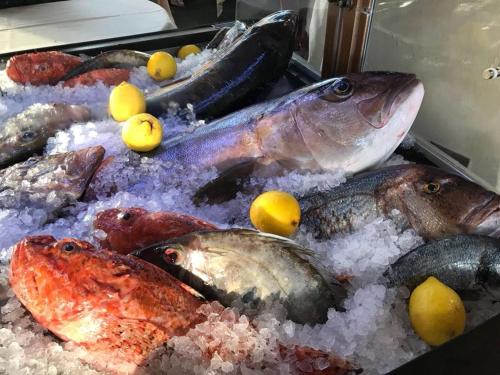 a bunch of fish on a table with snow at Hotel Gran Duca in Livorno