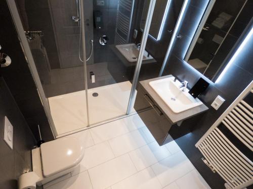 a bathroom with a shower and a toilet and a sink at Residenz am Zwinger in Dresden