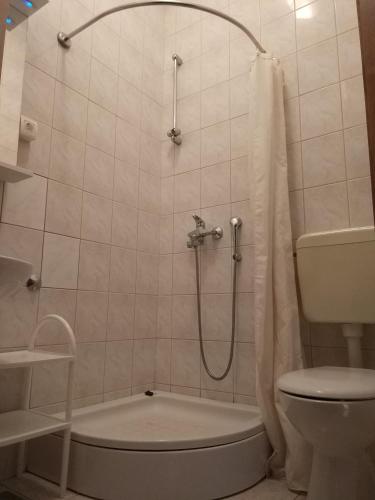 a bathroom with a shower and a toilet at Guest House Regina Mundi in Međugorje