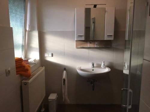 Kúpeľňa v ubytovaní Ferienwohnung Schlossvorstadt