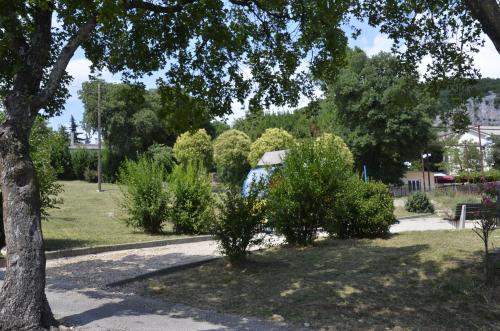 a park with trees and bushes and a tree at Apartments Lilly in Rijeka