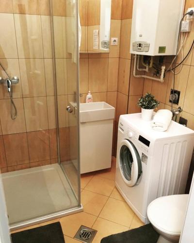 a bathroom with a washing machine and a washer at Wonderful Apartment Budapest in Budapest