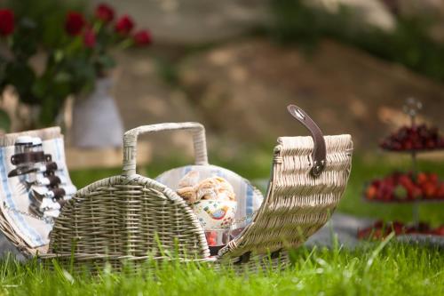 a basket with a teddy bear in it in the grass at Gorce Oasis in Szlembark