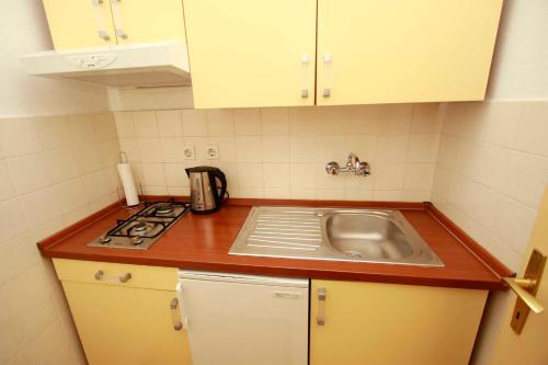 Kuchyň nebo kuchyňský kout v ubytování Villa Grozdic