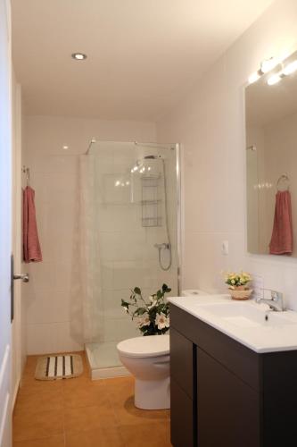 a bathroom with a toilet and a shower and a sink at TURISMe RURAL EMPORDA in Torroella de Montgrí