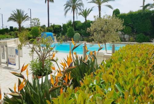 un complexe avec une piscine et des plantes dans l'établissement Sea view La Palme d'Azur apartment steps away from the beach and perfect for holidays & business trips, à Cannes