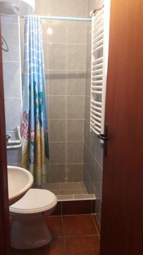 een badkamer met een douche, een toilet en een wastafel bij Apartmani Ćetković in Žabljak