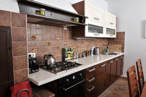 a kitchen with a stove and a counter top at Grandpa Mate House in Dragove