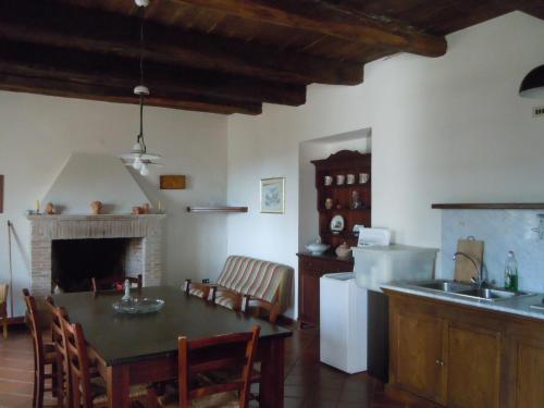 a kitchen and dining room with a table and a fireplace at Agriturismo Le Carolee in Pianopoli