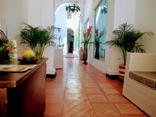 a hallway with potted plants in a building at Santa Alejandría Hotel in Cartagena de Indias