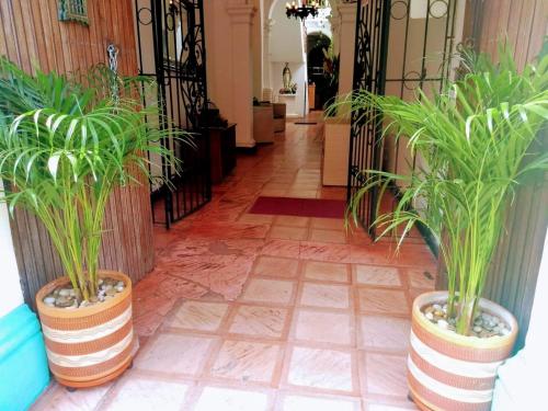 two large pots with plants in them on a hallway at Santa Alejandría Hotel in Cartagena de Indias