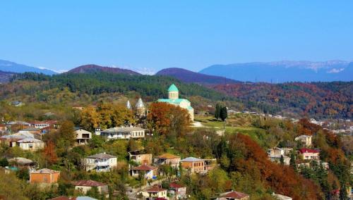 a small town on a hill with trees and houses at House 1899 in Kutaisi