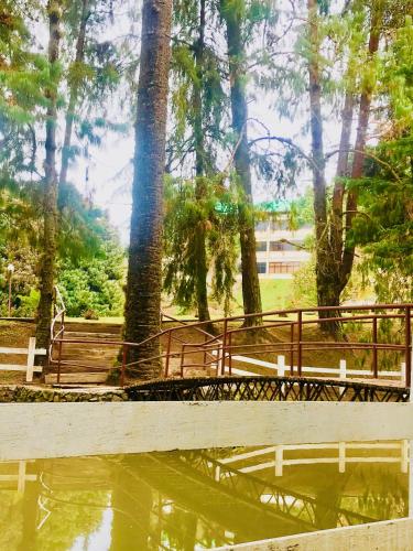 a wooden bridge over a body of water with trees at Hotel Platanus in Campos do Jordão