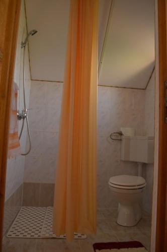 an orange shower curtain in a bathroom with a toilet at Casa Vlasea Albesti Sighișoara in Sighişoara