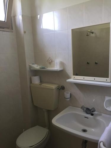 a bathroom with a toilet and a sink and a mirror at Hotel Belvedere in Castrocaro Terme