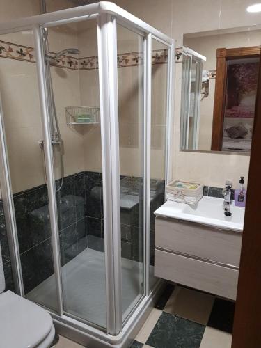 a bathroom with a shower and a toilet and a sink at Apartamento Ciudad del Tajo in Ronda