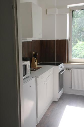 Η κουζίνα ή μικρή κουζίνα στο Apartmenthaus am Rennplatz