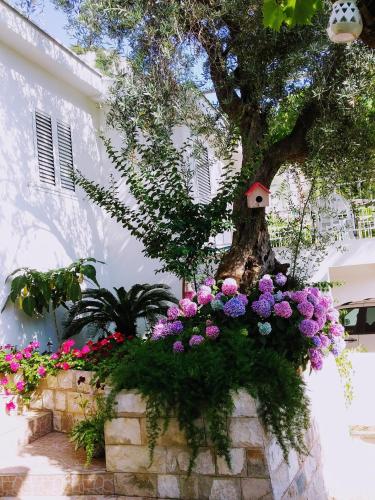 a tree with flowers in front of a building at Apartmani Steni in Sveti Stefan