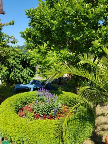 Zahrada ubytování Villa Charlotte