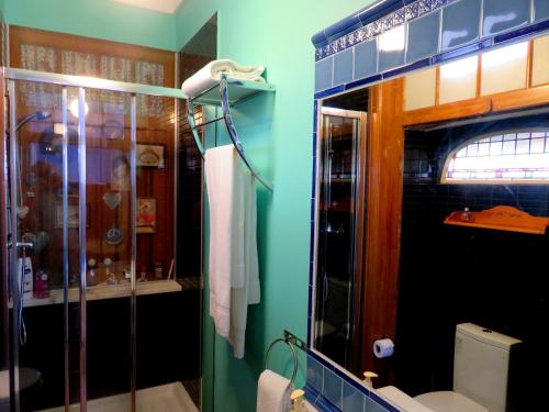 a bathroom with a shower and a toilet and a sink at Pátio das Andorinhas in Ferreira do Alentejo