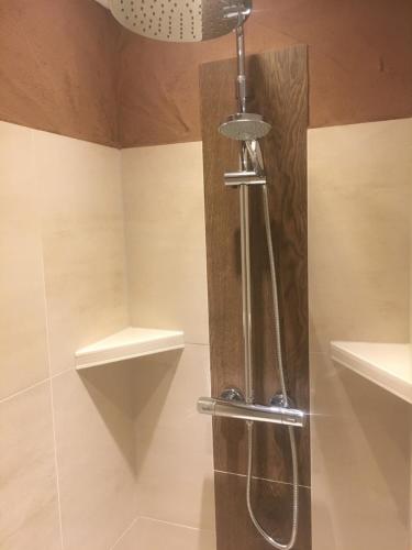 eine Dusche mit Glastür im Bad in der Unterkunft Ferienwohnung "Zur Glocke" in Burg
