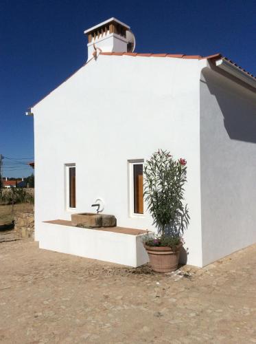 a white building with a sink and a plant at Casa da Pedra-Quinta do Briando in Portalegre