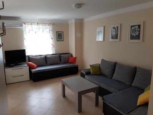 Apartman Branka