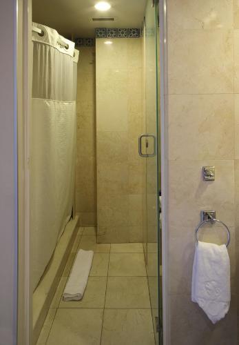 a bathroom with a shower with a glass door at Emporio Zacatecas in Zacatecas