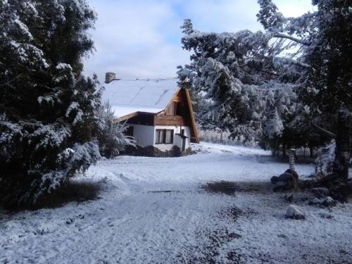 a small house in the snow with trees at Del Viejo Camino in El Bolsón
