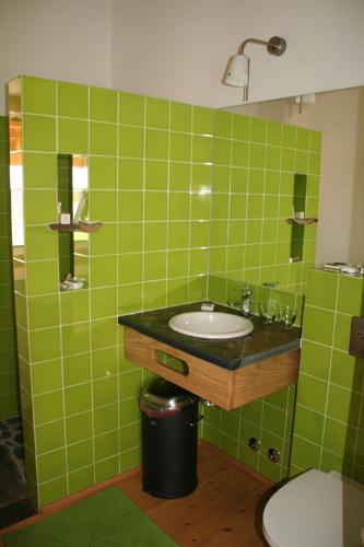ein grün gefliestes Badezimmer mit Waschbecken und Toilette in der Unterkunft Casa da Pedra-Quinta do Briando in Portalegre