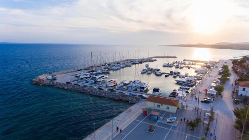 Gallery image of Costa Domus Blue Luxury Apartments in Nikiti