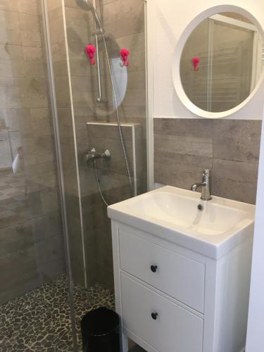 y baño con ducha, lavabo y espejo. en Le Studio Gambetta, en Saint-Aignan