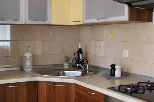 kuchnia ze zlewem i blatem w obiekcie Apartments Biskup w mieście Privlaka