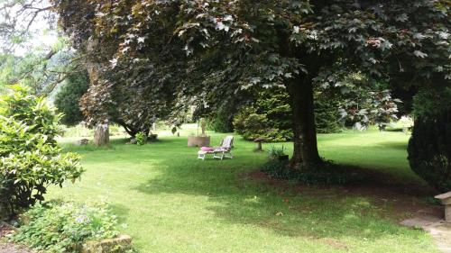 a park with a tree and a chair under it at Pied des Milles Etang - Les Capucins in Faucogney-et-la-Mer