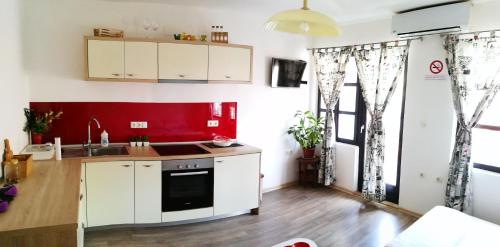 Kuchyň nebo kuchyňský kout v ubytování Balkaneros Hostel
