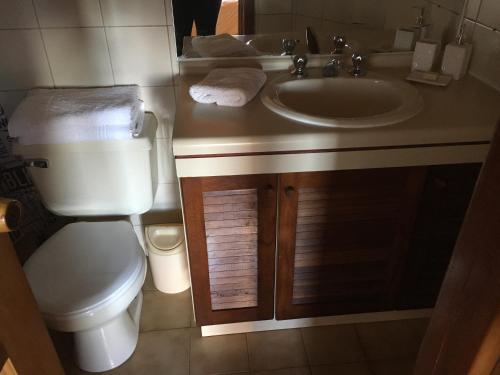 a bathroom with a toilet and a sink at Cabañas Puerto Chalhuaco in Puerto Varas