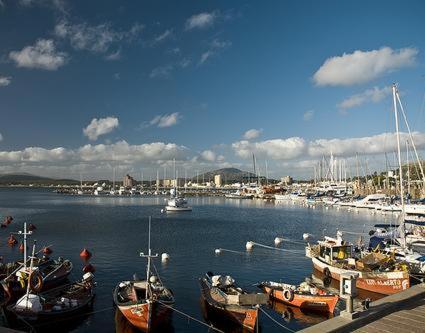 a bunch of boats are docked in a harbor at Edificio Sagasti in Piriápolis