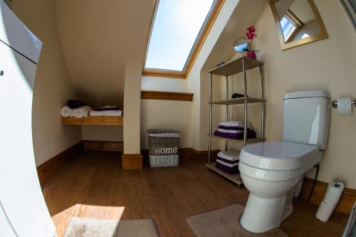 a bathroom with a toilet in a attic at Mulberry in Nairn