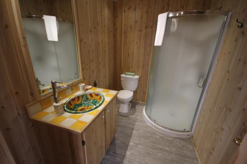a bathroom with a sink and a shower and a toilet at Tadou-Shack in Tadoussac