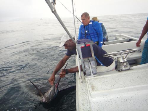 a man holding a fish in the water next to a boat at Ecolodge el Arca Bahia Solano in Bahía Solano
